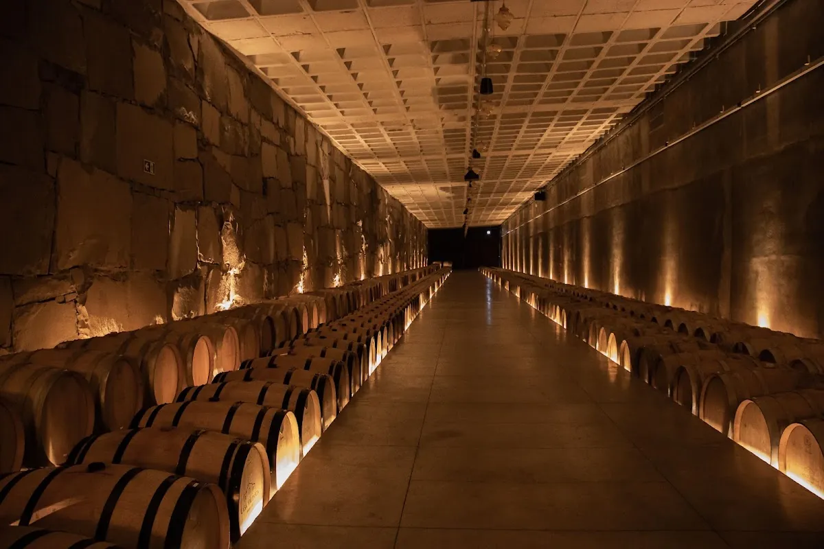 Casa Valduga Vinhos Finos Ltda. — Vinícolas em Bento Gonçalves-RS (foto 3)