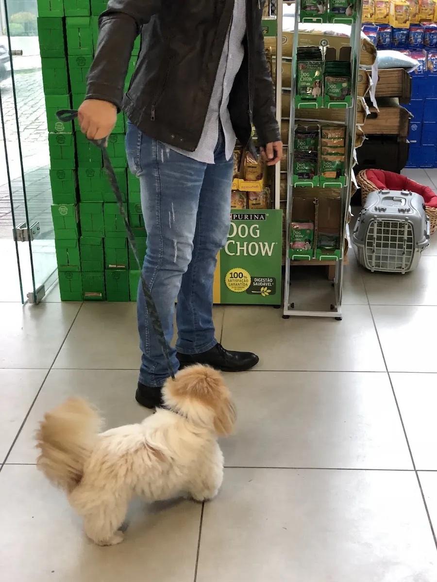 República dos Animais – Centro Clínico Veterinário e Pet Store — Veterinárias em Bento Gonçalves-RS (foto 3)