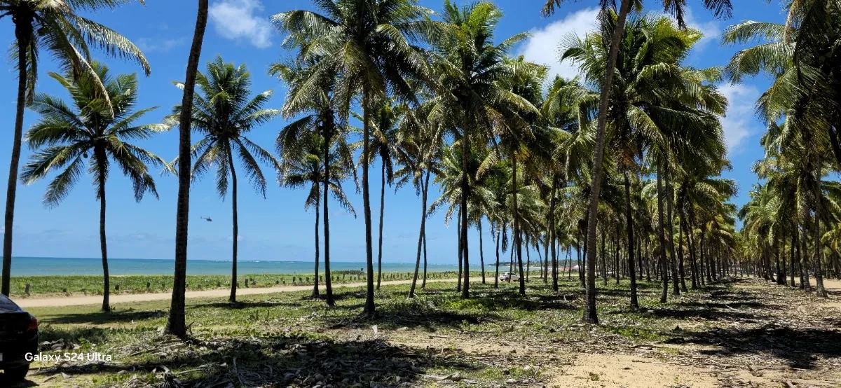 Flytour Serra Gaúcha — Agências de Viagem e Turismo em Nova Prata-RS (foto 4)