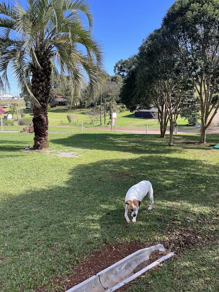 Morada dos Pets — Pet Hotel em Nova Prata-RS