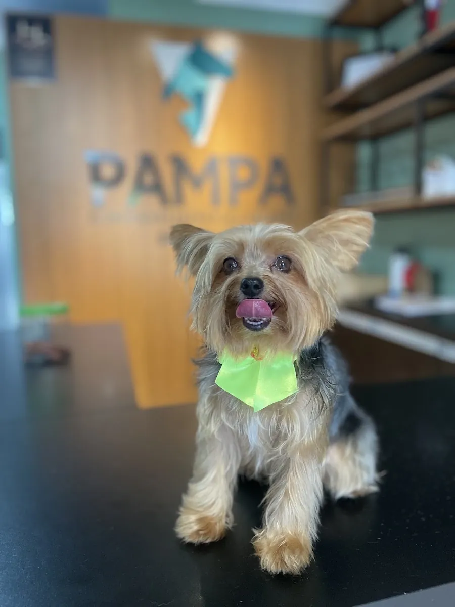 Pampa Petshop — Pet Shops em Nova Prata-RS