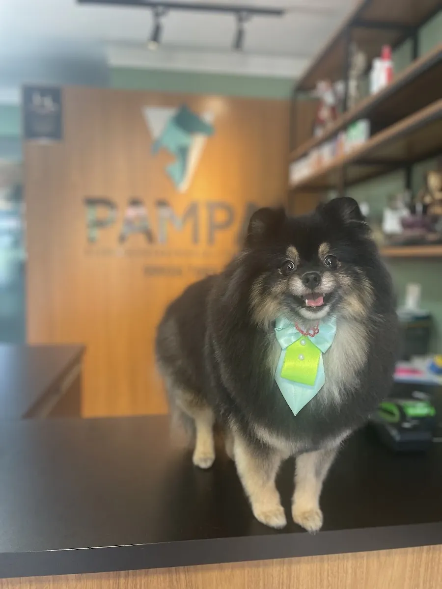 Pampa Petshop — Pet Shops em Nova Prata-RS (foto 3)