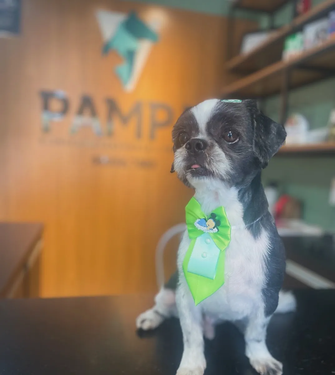 Pampa Petshop — Pet Shops em Nova Prata-RS (foto 4)