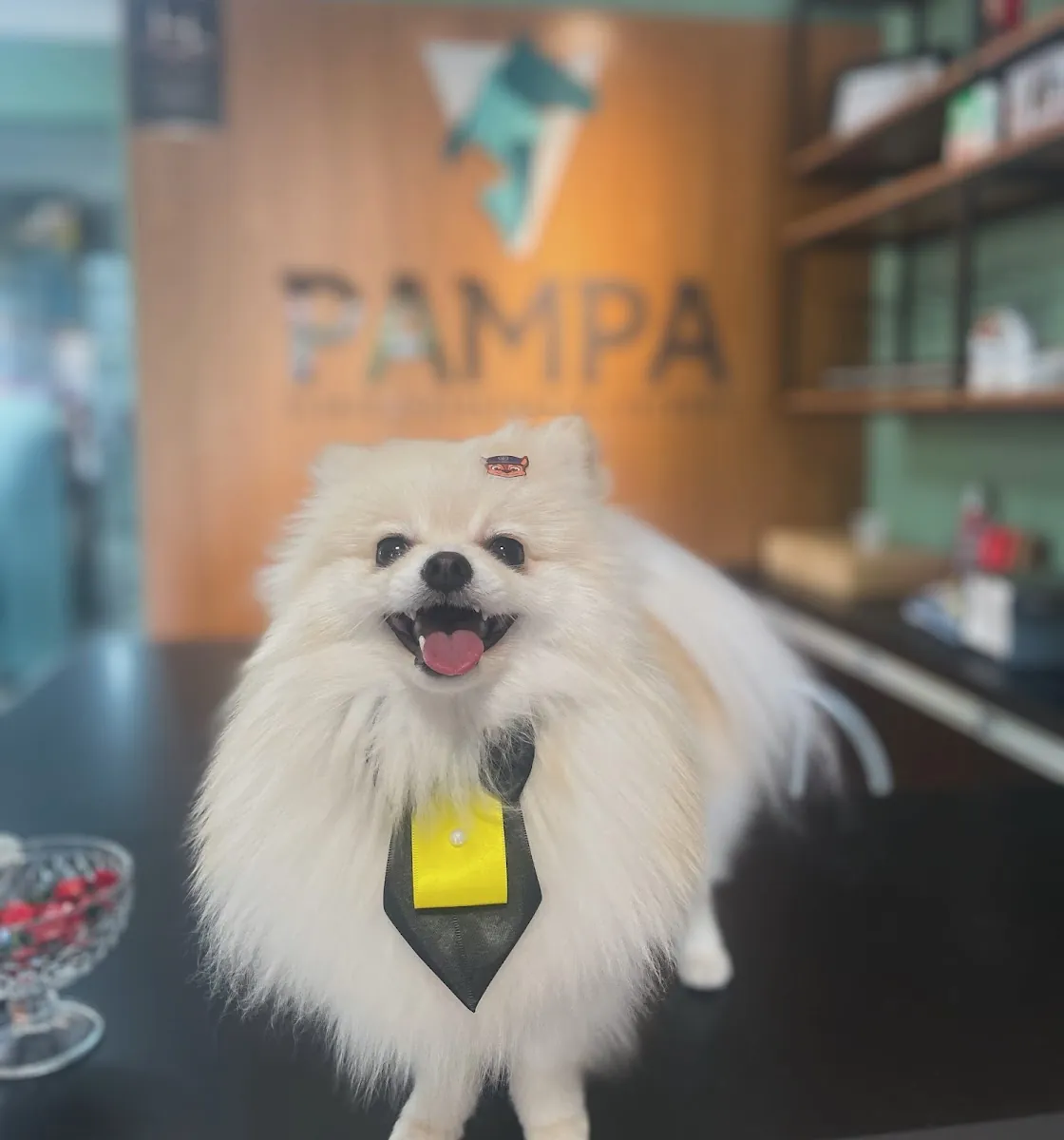Pampa Petshop — Pet Shops em Nova Prata-RS (foto 5)