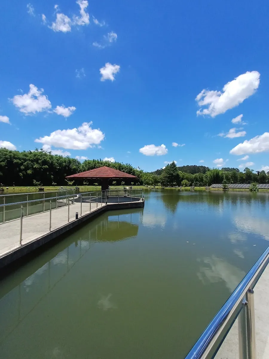 Lagos Vila Parque — Restaurantes em Vila Flores-RS (foto 4)